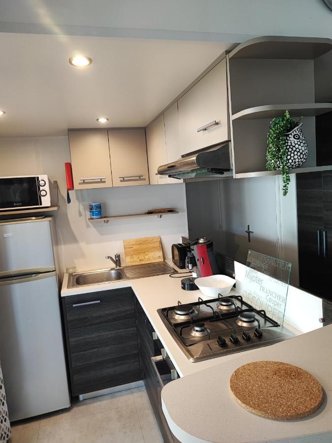 Mobilhome 741 Les Charmettes,3Ch,2Sdb,Lave Linge,Lave Vaisselle,Clim,2Wc レ・マトゥ エクステリア 写真